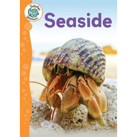 Tadpoles Learners: Seaside -Annabelle Lynch Children's Book