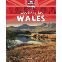 Let's Visit: Wales (Let's Visit) -Annabelle Lynch Children's Book