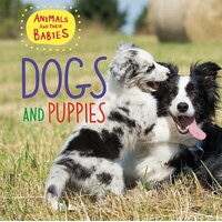 Animals and their Babies: Dogs & puppies Annabelle Lynch Hardcover Book