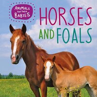 Animals and their Babies: Horses & foals Annabelle Lynch Hardcover Book
