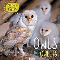 Animals and their Babies: Owls & Owlets (Animals and their Babies) - Children's