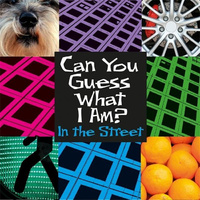 Can You Guess What I Am?: In the Street -J.P. Percy Book