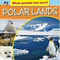 What Animals Live Here?: Polar Lands M.J. Knight Paperback Book