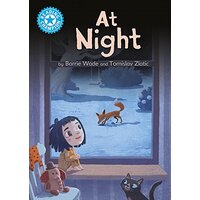 Reading Champion: At Night: Independent Reading Blue 4 (Reading Champion)