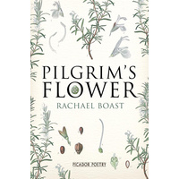 Pilgrim's Flower -Rachael Boast Book