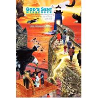 God's Sent Messenger Lisa Wisdom Taylor Paperback Book