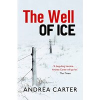 The Well of Ice: Inishowen Mysteries -Andrea Carter Fiction Book