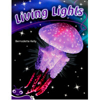 Bug Club Level 19 - Purple: Living Lights -Bernadette Kelly Paperback Children's Book