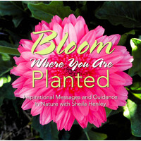 Bloom Where You Are Planted Paperback Book