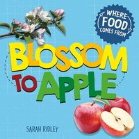 Where Food Comes From: Blossom to Apple Sarah Ridley Hardcover Book