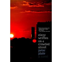 Elegy Written on a Crowded Street Peter Plate Paperback Novel Book