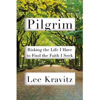 Pilgrim: Risking the Life I Have to Find the Faith I Seek Hardcover Book