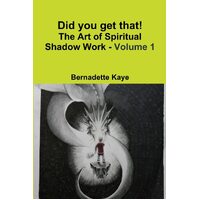 Did you get that! The Art of Spiritual Shadow Work - Volume 1 - Bernadette Kaye