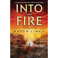 Into The Fire: The Detainee Book 2 (The Detainee) -Liney, Peter Fiction Book