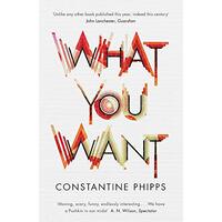 What You Want -Constantine Phipps Fiction Novel Book