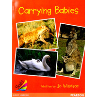 Carrying Babies -Jo Windsor Paperback Children's Book