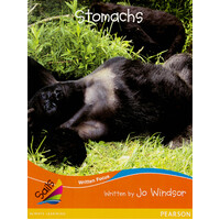 Stomachs -Jo Windsor Children's Book