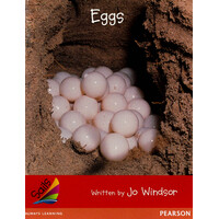 Sails Early Level 1 Set 2 - Red: Eggs -Jo Windsor Paperback Children's Book