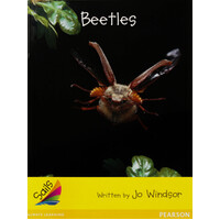 Beetles -Jo Windsor Paperback Children's Book