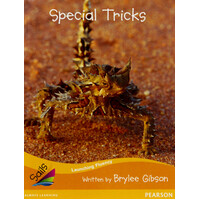 Special Tricks: Sails Additional Fluency - Orange - Paperback Children's Book