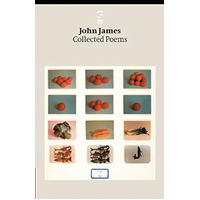 Collected Poems: Salt Modern Poets S. -James, John Poetry Book