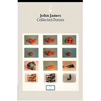 Collected Poems: Salt Modern Poets S. -James, John Poetry Book