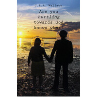 Are you hurtling towards God knows what? -J E a Wallace Paperback Book