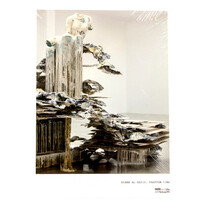 Diana Al-Hadid: Phantom Limb Maya Allison Hardcover Book