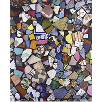 The New Antiquity -Tim Davis,Francine Prose Photography Book