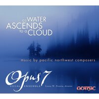 As Water Ascends To A Cloud -Bergsma Muehleisen Herbolshe CD