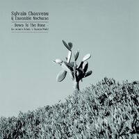 Down To The Bone An Acoustic Tribute To Depeche Mode - Sylvain Chauveau CD
