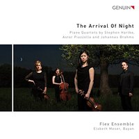 Arrival Of Night -Hartke Piazzolla Brahms CD