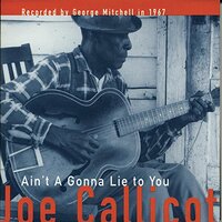 Aint A Gonna Lie To You -Callicott, Joe CD