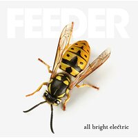 All Bright Electric -Feeder CD