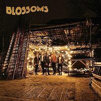 Blossoms Cddvdbonustrack - BLOSSOMS CD