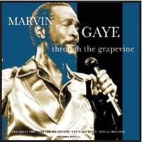 Through the Grapevine by Marvin Gaye 2005 CD