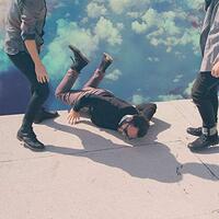 Hummingbird -Local Natives CD