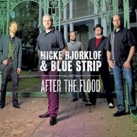 After The Flood -Bjorklof,Micke & Blue Strip CD