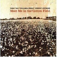 Meet Me In The Cotton Field -Terry Williams, Wesley Jefferson CD