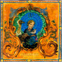 Needles Space -Straylight Run CD