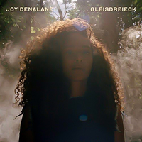 Gleisdreieck: Limited Edition -Joy Denalane CD