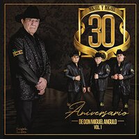 30 Aniversario De Don Miguel Angulo -Miguel Y Miguel CD
