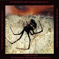Never Mind The Darkness Of It -Bannon, Lee CD