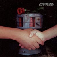 Alarm - Andreas Budweiser CD