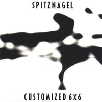 SPITZNAGEL - CUSTOMIZED 6 X 6 CD
