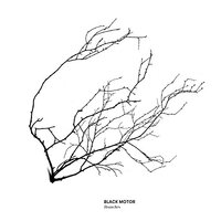 Branches -Black Motor CD