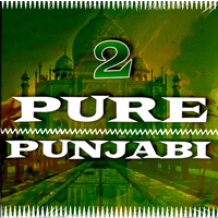 2 Pure Punjabi BRAND NEW SEALED MUSIC ALBUM CD