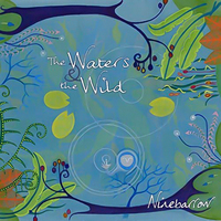 Waters And The Wild -Ninebarrow CD