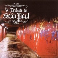 A Tribute To Sean Paul -Various Artists CD