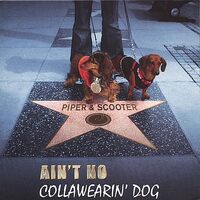 Aint No Collawearin Dog - PIPER SCOOTER CD